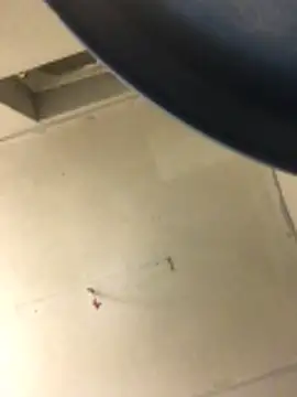 Snapshot of cumcum94 chatting on 17, 2, 2026 cumcum94 online show from 17, 2, 2026