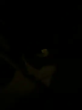 sark0606 online show from 6, 2, 2025