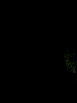 Snapshot of hintly chatting on 29, 10, 2025 hintly online show from 29, 10, 2025