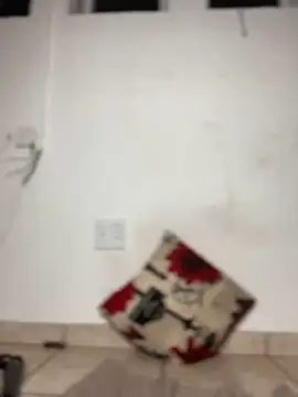 Cuddle Bear online show from 20, 2, 2025