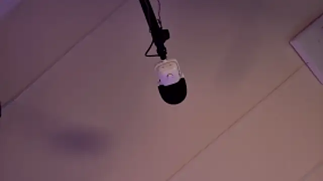 lissa palmer online show from 20, 2, 2026