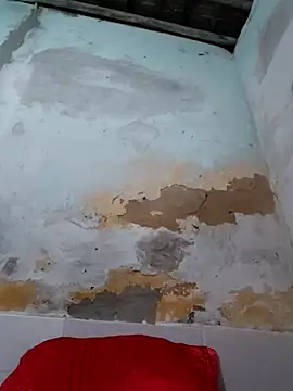 shuelldin online show from 29, 10, 2025