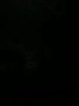 leonard  123 online show from 12, 3, 2025