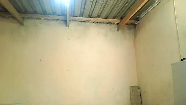 01applebottom online show from 27, 11, 2025