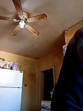 birdg online show from 12, 11, 2025