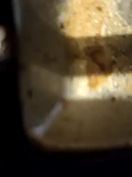 Snapshot of Loly2025 chatting on 20, 2, 2025 Loly2025 online show from 20, 2, 2025