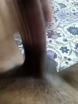 desi pb02 online show from 27, 3, 2026