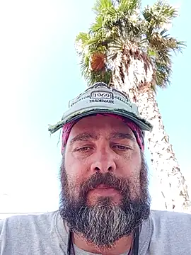 serpensy online show from 17, 6, 2026