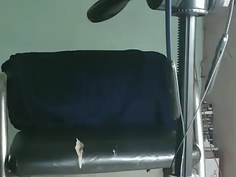 PreetyKitten online show from 8, 11, 2025