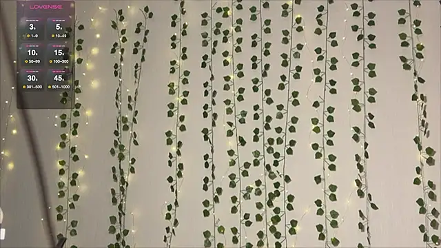 Asian Vi online show from 1, 10, 2025