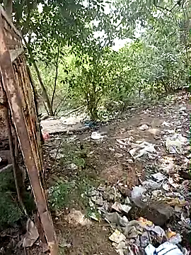 bairobunde online show from 25, 9, 2025