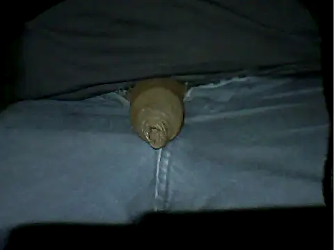 Snapshot of Mthondo-qinile chatting on 18, 11, 2025 Mthondo-qinile online show from 18, 11, 2025