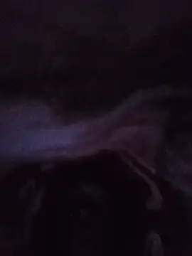 lilpip online show from 5, 7, 2026