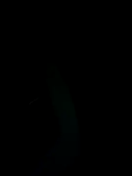 SunnY-0124xh online show from 25, 2, 2025