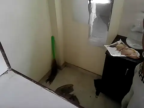 fitbuddy1 online show from 11, 9, 2025