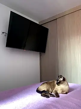 AshleyG 222 online show from 17, 12, 2025