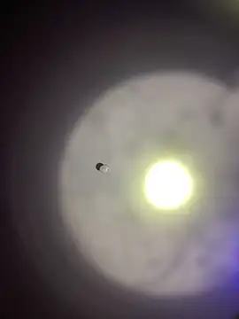 1Zoey101 online show from 30, 3, 2026