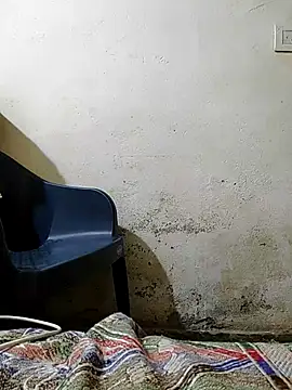 pallu telgu kannada online show from 22, 9, 2025