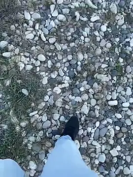 Smallcoco26 online show from 11, 3, 2025