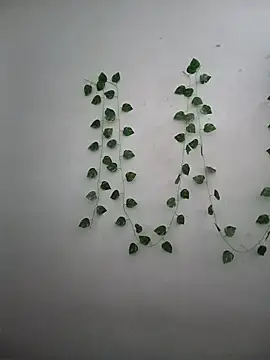 Neha-Bhabhi-Rasily online show from 17, 12, 2025