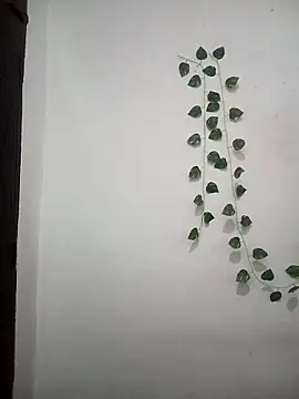 Neha-Bhabhi-Rasily online show from 25, 3, 2026