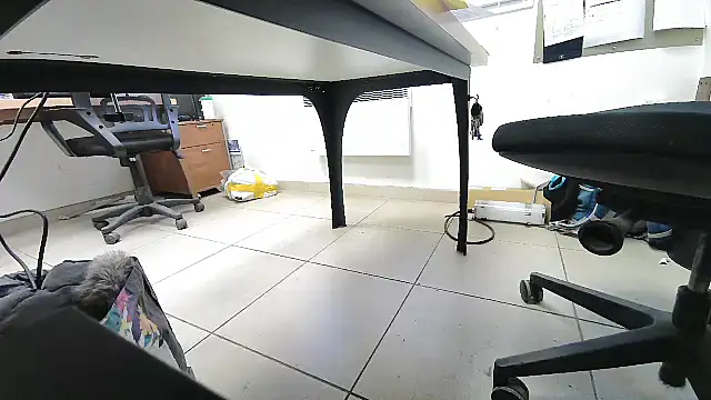 GM51-1988 online show from 25, 9, 2025