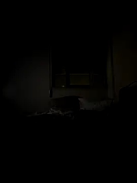 culatino online show from 12, 9, 2025