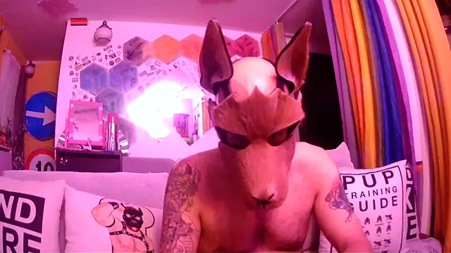 Snapshot of danix_wild_wolf chatting on 31, 5, 2026 danix wild wolf online show from 31, 5, 2026