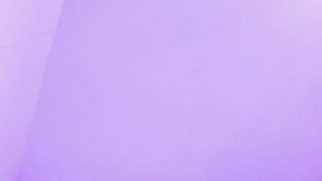 samevansx  online show from 2, 7, 2026