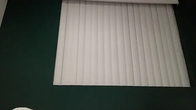 Snapshot of TheDaddy005 chatting on 7, 3, 2025 TheDaddy005 online show from 7, 3, 2025