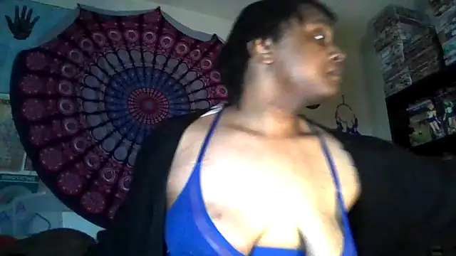 GardeniaFields online show from 2, 4, 2026