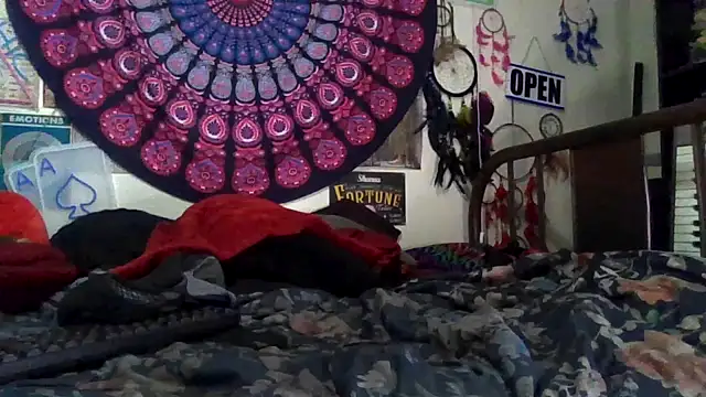 GardeniaFields online show from 4, 4, 2026