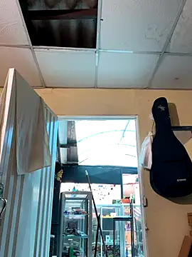 val zx online show from 8, 9, 2025