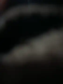 Snapshot of HARSHHU01 chatting on 17, 3, 2025 HARSHHU01 online show from 17, 3, 2025