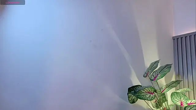 TiffanyWalk online show from 27, 11, 2025