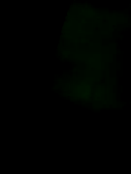 HerPleasure2025 online show from 12, 2, 2026