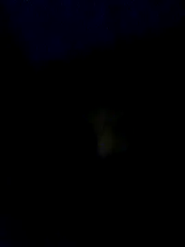 baby25cm online show from 13, 2, 2026