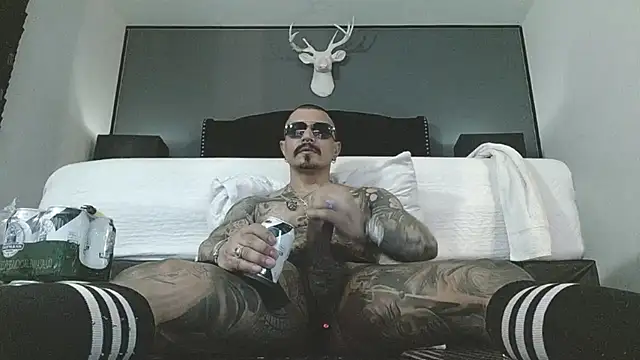 danilog515 online show from 15, 4, 2026