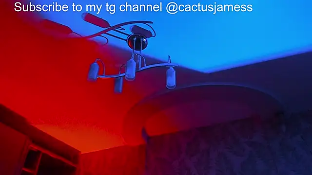 Cactus  James online show from 21, 11, 2025