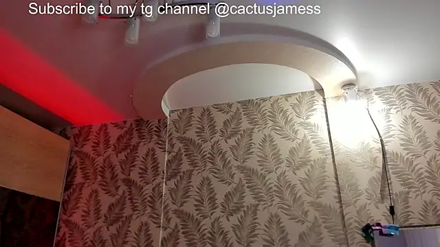 Snapshot of Cactus__James chatting on 21, 12, 2025 Cactus James online show from 21, 12, 2025