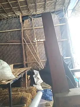 hot integer online show from 21, 2, 2026