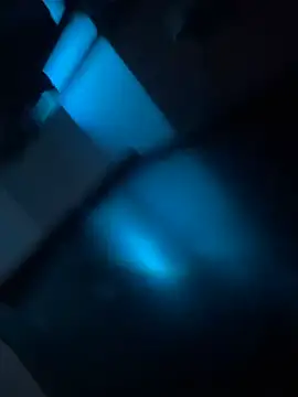 msvelvet20 online show from 19, 3, 2026