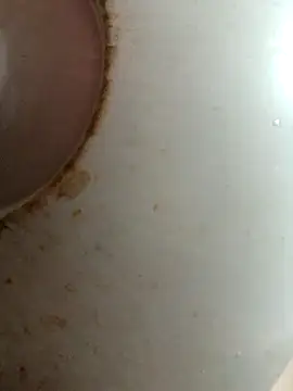 Snapshot of Dabunation chatting on 8, 10, 2025 Dabunation online show from 8, 10, 2025