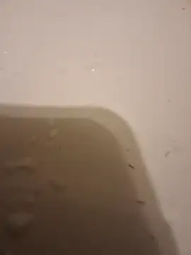 Snapshot of moasslicker chatting on 21, 10, 2025 moasslicker online show from 21, 10, 2025