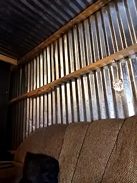 Snapshot of Thenaughtyboy360 chatting on 21, 12, 2025 Thenaughtyboy360 online show from 21, 12, 2025