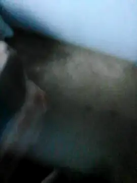 mydickbedarkandthick online show from 21, 11, 2025