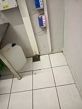 Snapshot of paptsimo chatting on 25, 11, 2025 paptsimo online show from 25, 11, 2025