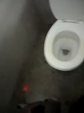 Snapshot of paptsimo chatting on 13, 12, 2025 paptsimo online show from 13, 12, 2025