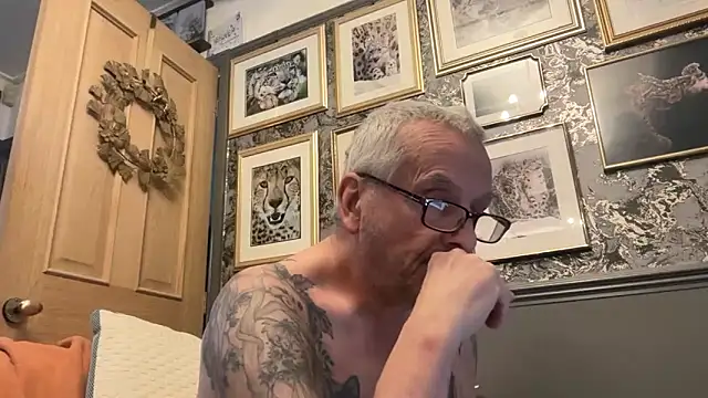 poggles online show from 11, 2, 2026