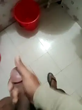 zim200 online show from 29, 11, 2025